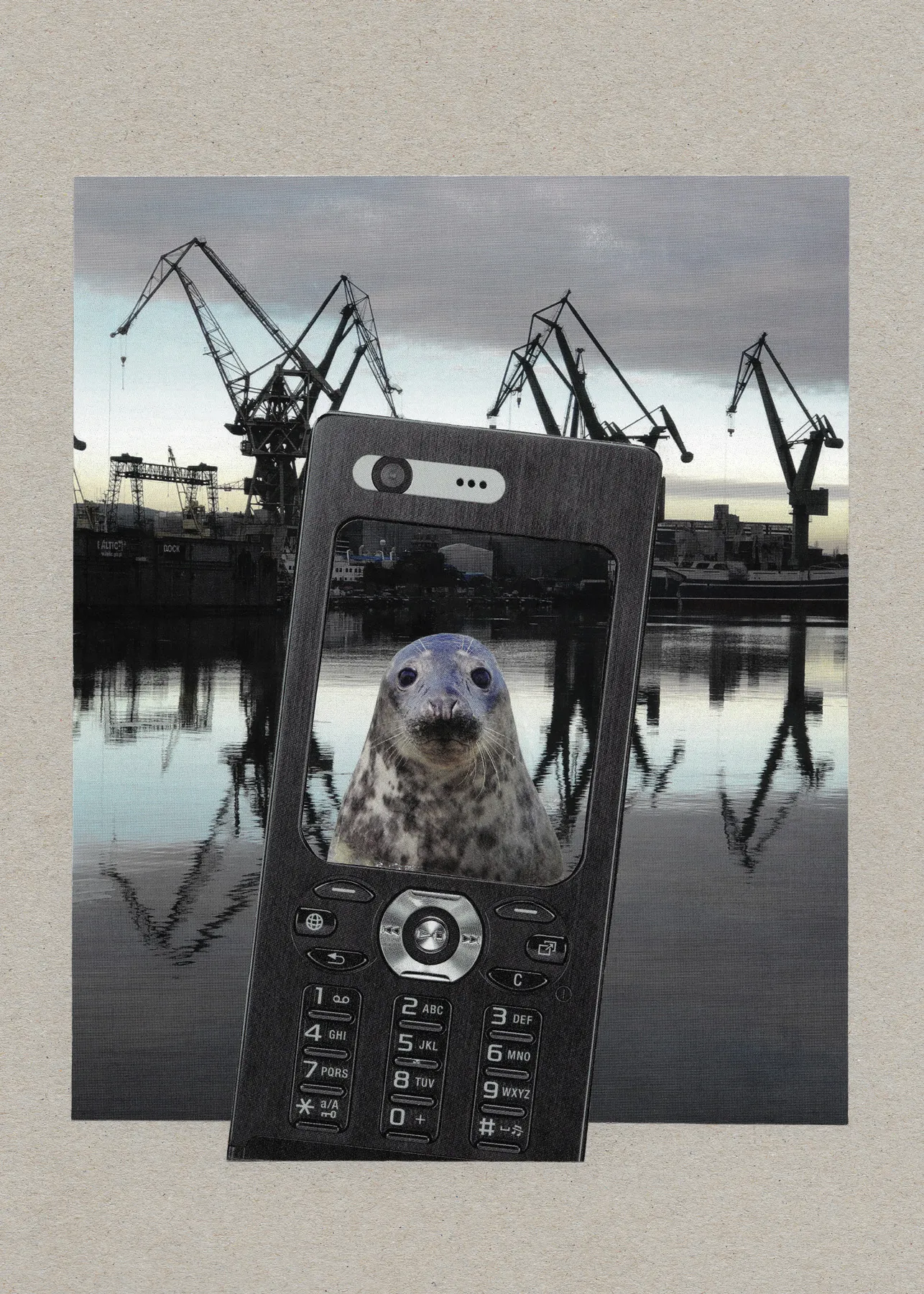 Common Seal