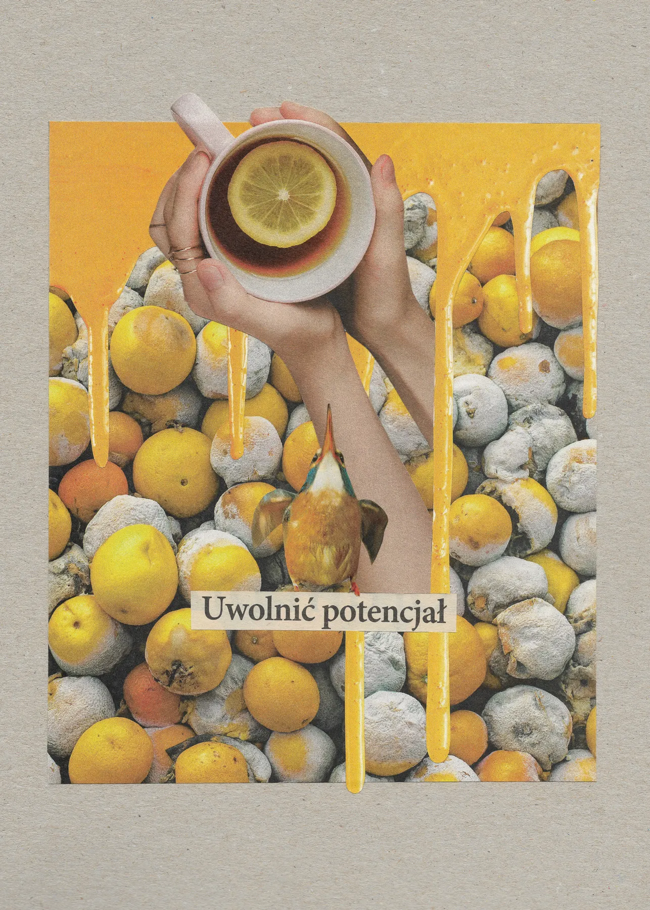 Unleash the Potential