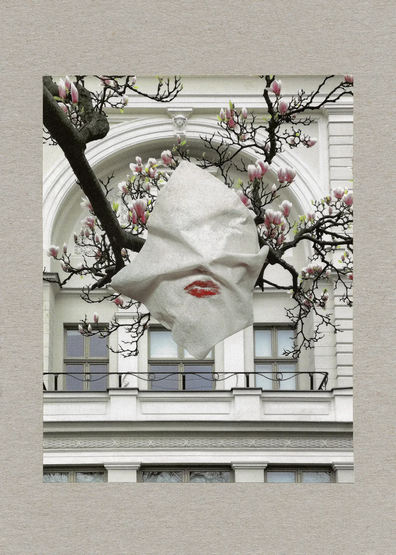 Magnolia
